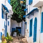 Sidi Bou Said aux yeux de ses admirateurs