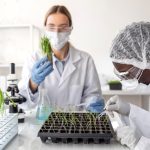 Iqua'Lab : Laboratoire agroalimentaire à Casablanca, un gage de qualité