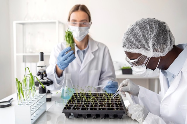 Iqua'Lab : Laboratoire agroalimentaire à Casablanca, un gage de qualité