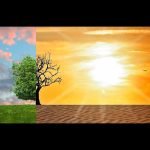 environnement
