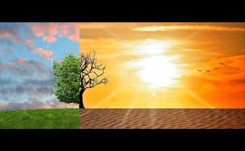 environnement