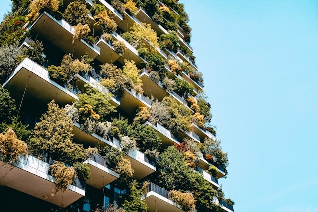 immobilier vert